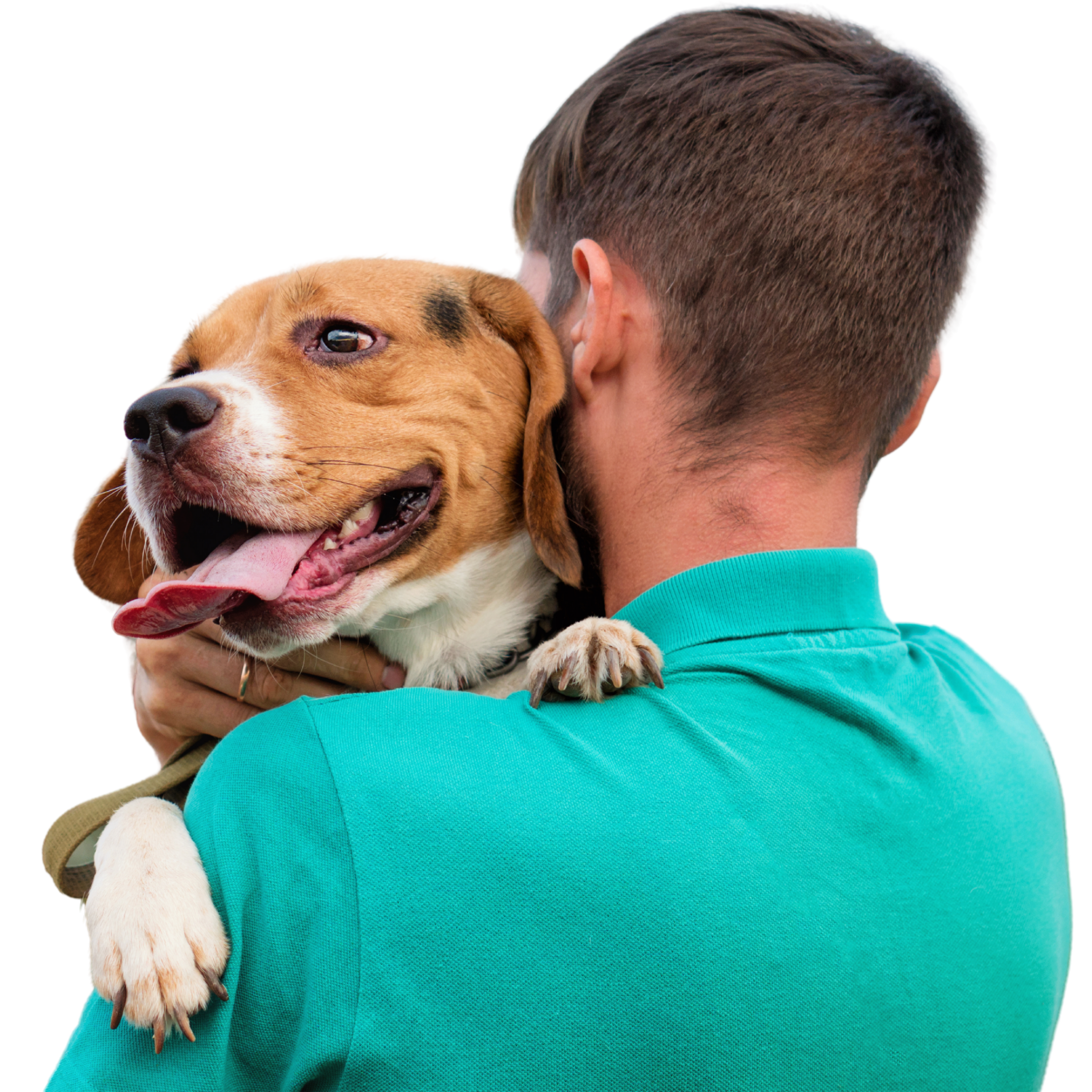 Cachorro e seu tutor