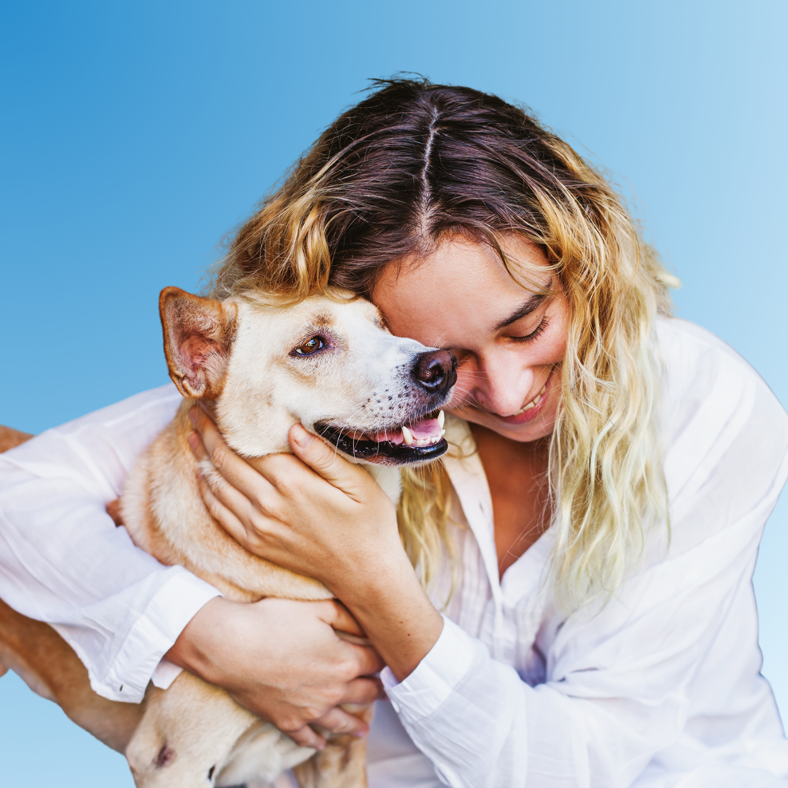 Relatório digital completo